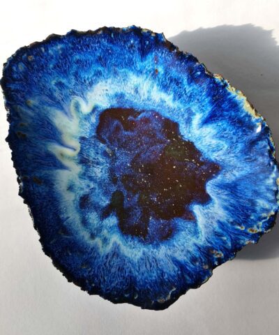 Ocean Creatures textured BOWL