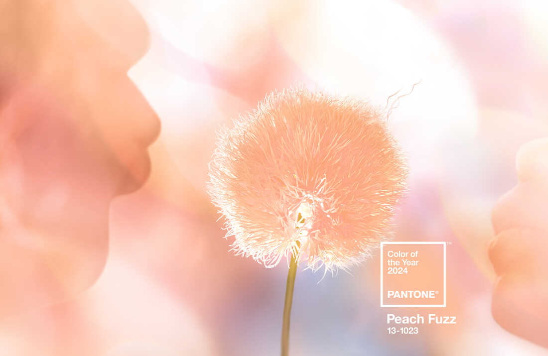 pantone color of the year peach fuzz