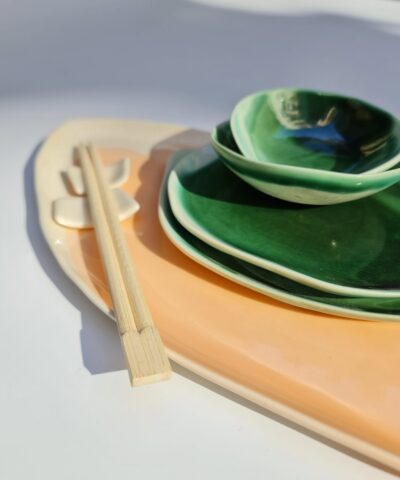 sushi serving set porcelain colors