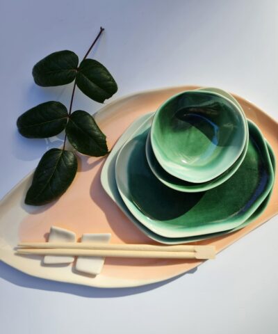 sushi serving set porcelain colors
